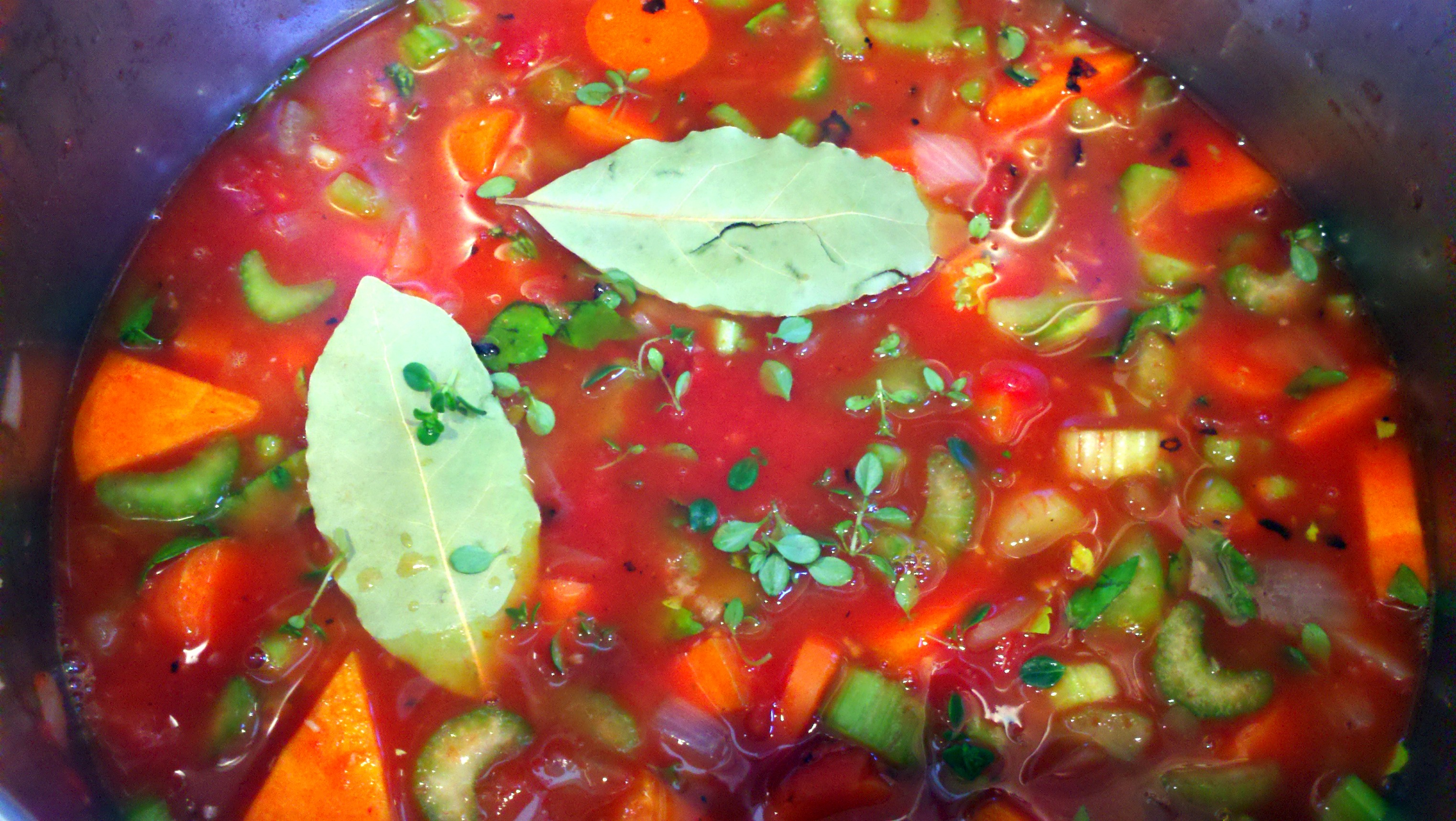 Fire roasted tomato vegetable soup